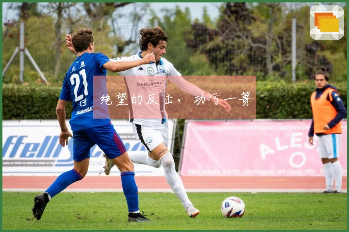 绝望的反击，功亏一篑